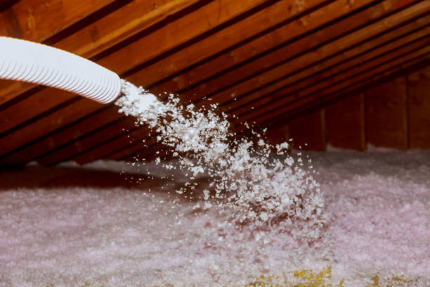 Best Spray Foam Insulation in Des Plaines, IL