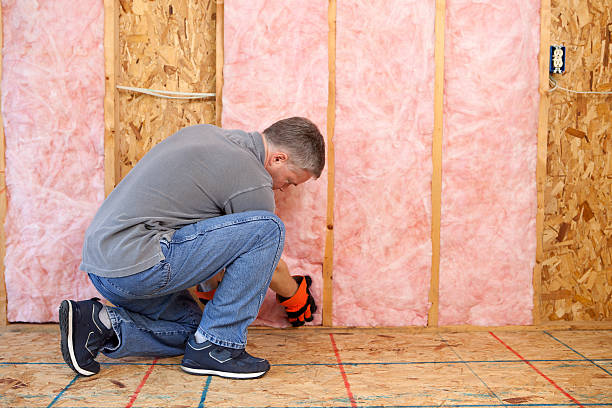 Best Energy Efficiency Insulation in Des Plaines, IL